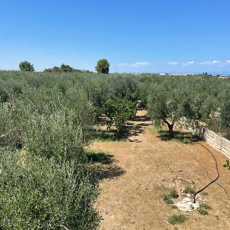 Sant'angelo